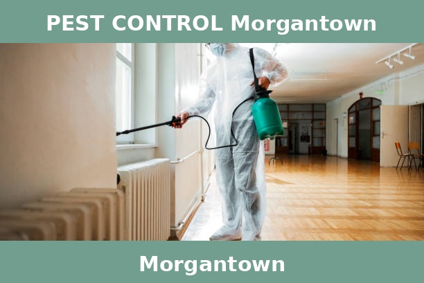 PEST CONTROL Morgantown